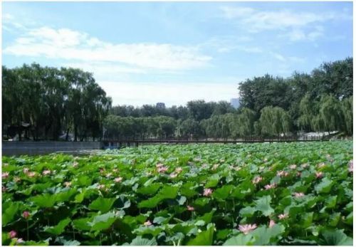 2016北京玩博會，7月14日歡聚全國農業展覽館新館