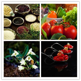 中國有機食品展 專業買家 用專業打造品質(圖2) 中國有機食品展9月廣州舉行 數萬優質買家云集_金羊網新聞