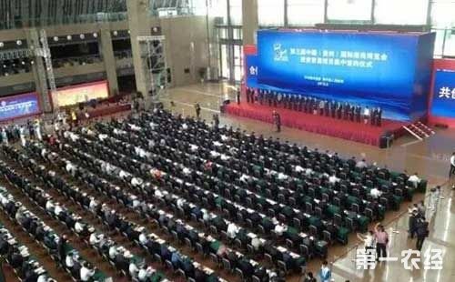 第一農(nóng)經(jīng)糖酒快訊