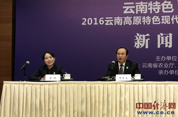 云南高品質現代農品來京 5天展會邀你嘗鮮高原蔬果(圖1) 云南高品質現代農品來京 5天展會邀你嘗鮮高原蔬果(圖1)